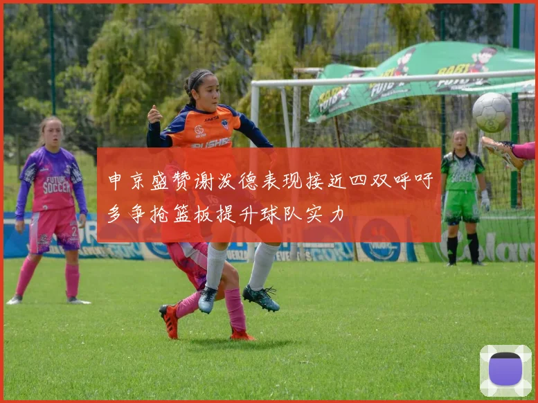 申京盛赞谢泼德表现接近四双呼吁多争抢篮板提升球队实力