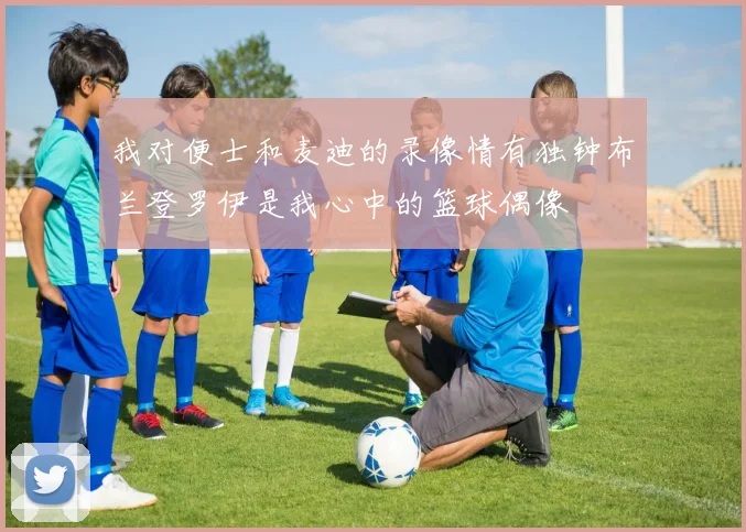 我对便士和麦迪的录像情有独钟布兰登罗伊是我心中的篮球偶像